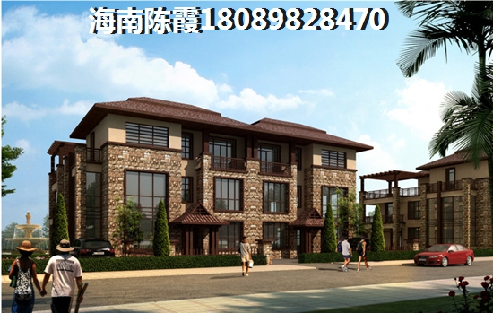 三亚市醉能生纸的房子